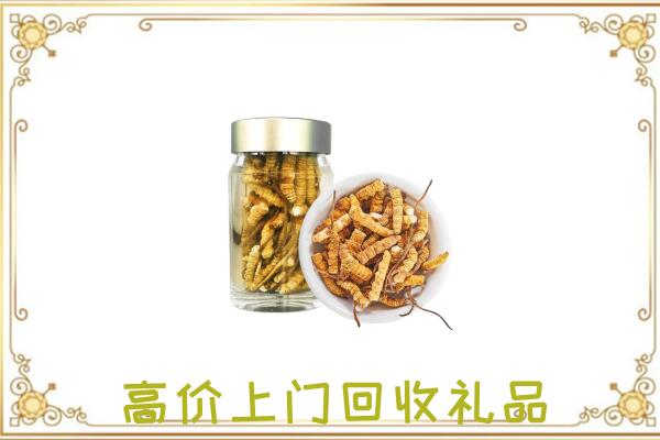 云岩周边回收虫草